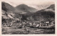 38 ALLEVARD LES BAINS VUE GENERALE ET LE GLACIER DU GLEYZIN - Allevard