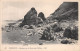 22-PLENEUF-N°C-4324-B/0183 - Pléneuf-Val-André