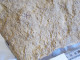 Delcampe - FOSSILE.RARES PENTACRINITES DARNIESIE.YVERNAUMONT.ARDENNES.2250G - Fossilien