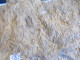 Delcampe - FOSSILE.RARES PENTACRINITES DARNIESIE.YVERNAUMONT.ARDENNES.2250G - Fossilien