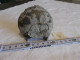FRANCE.FOSSILE.AMMONITE PYRITEUSE.SCIEE..VACHES NOIRES VILLERS SUR MER.CALLOVIEN.-164MA  A -161MA. - Fósiles