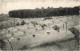 BELGIQUE - Hoeylaert - Groupe De Serres - Village - Forêt De Soignes - Uitg Calloens - Carte Postale Ancienne - Hoeilaart
