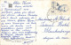 BELGIQUE - Hoeylaert - Groupe De Serres - Village - Forêt De Soignes - Uitg Calloens - Carte Postale Ancienne - Hoeilaart