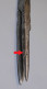 Delcampe - -PETIT COMPAS FER FORGE TETE D'HOMME XVIIIe COLLECTION OUTIL ANCIEN VITRINE    E - Outils Anciens