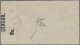 Iceland: 1918, Zwei Könige, 20 Aurar Blau / Schieferblau, Wz. 2, Einzelfrankatur - Sonstige & Ohne Zuordnung