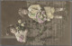Portugese Colonies: 1895-1914, Five Ppcs From South Africa And Zanzibar With Arr - Portuguese Congo