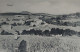 Tiaret - Vue Sur Champs Et Paysan - Tiaret