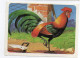 RL, Image Collection Journal Mickey Le Coq Lafayette N°19  SNEF Voir Scannes - Colecciones