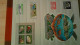 Delcampe - CE3 Bel Ensemble De Timbres Et Blocs ** De Wallis Et Futuna. A Saisir !!! - Collections (with Albums)