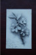 FLEUR - LYS - Blumen