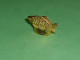 Fèves / Fève / Animaux : Poisson , Porte Photo " OR "           T34 - Tiere
