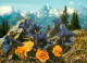 Fleurs - CPM - Voir Scans Recto-Verso - Blumen