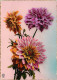 Fleurs - Mention Photographie Véritable - Carte Dentelée - CPSM Grand Format - Carte Neuve - Voir Scans Recto-Verso - Blumen