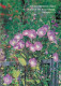Fleurs - CPM - Voir Scans Recto-Verso - Blumen