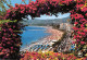06-JUAN LES PINS-N°382-A/0013 - Juan-les-Pins