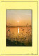 Coucher De Soleil - CPM - Voir Scans Recto-Verso - Hold To Light