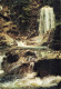 15 CONDAT EN FENIERS LES CASCADES DE CORNILLOUX - Condat