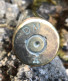 Delcampe - 12,7X99 CAL 50 BMG US WW2 1944 NEUTRALISÉE D M 4 - Decorative Weapons