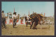 Postcard, Canada, Stampede , Calgary Alberta - Calgary