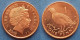 GIBRALTAR - 1 Penny 2003 "Barbary Partridge" KM# 773 Elizabeth II Decimal Coinage (1971-2022) - Edelweiss Coins - Gibraltar