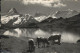 Grindelwald Bachsee Faulhorn Kuehe - Sonstige & Ohne Zuordnung