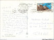 AMGP9-0968-EGYPTE - GIZA - The Sphinx Of Sakkara - Sphinx