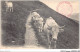 AIDP2-TAUREAUX-0077 - Cauterets - Chemin Du Cabaliros - Stiere