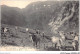 AIDP2-TAUREAUX-0076 - Luchon - Passage De La Picade - Vue Sur Le Pic De La Mine - Stiere