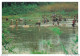 AOZP12-0865-GABON - Scene De Peche En étang - Gabun