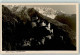 10315029 - Vaduz - Liechtenstein