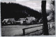 50621012 - Daun - Daun