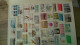 Delcampe - BS367  Bel Ensemble De Timbres De Divers Pays Dont Plaquette De France Avec N° 116 ** Signé . A Saisir !!! - Verzamelingen (in Albums)