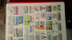 Delcampe - BS367  Bel Ensemble De Timbres De Divers Pays Dont Plaquette De France Avec N° 116 ** Signé . A Saisir !!! - Verzamelingen (in Albums)