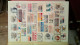 Delcampe - BS367  Bel Ensemble De Timbres De Divers Pays Dont Plaquette De France Avec N° 116 ** Signé . A Saisir !!! - Verzamelingen (in Albums)