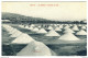 Cette - Sète - Les Salines - Récolte Du Sel - Sete (Cette)