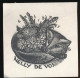 EX LIBRIS   8 X 8 CM. LIJMREST BOVENAAN  ACHTERZIJDE - Ex Libris
