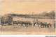 AQ#BFP1-CONGO-0268 - KISANTU - La Récolte Du Riz - Attelage De BÂufs - Belgisch-Kongo