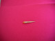 Coquillages De Collection - Conchiglie
