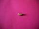 Coquillages De Collection - Conchiglie