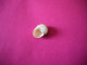 Coquillages De Collection - Coquillages