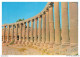 APAP13-0882-JORDANIE - Les Colonnes De Jerash - Jordan - Jordanien