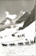 Jungfraujoch Polarhunde Ungelaufen Ca. 1955 - Sonstige & Ohne Zuordnung