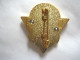 INSIGNE TDM PARACHUTISTES DU 2° RPIMa LA 1° COMPAGNIE (TRANSLUCIDE)  Y. DELSART  NEUF - Army