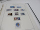 Delcampe - BUND Slg. 1973 Bis 1985 Mit O /  MARKEN Auf SEITEN Im BINDER - Collections (with Albums)