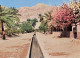 JORDANIE JERICHO MONT DE LA TENTATION - Jordanien
