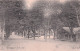 36 CHATEAUROUX JARDIN PUBLIC - Chateauroux
