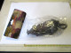 LADE 51 - COLORED GROWING MICE -  EXPAND 600% OF SIZE - Jouets Anciens