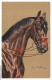 CAR-ADRP19-1064-CHEVAL - Vue Sur Un Cheval Brun - Pferde