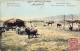 Kyrgyzstan - Kyrgyz Dwelling - Kirgisistan