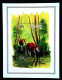 CONGO, MNH BLOCK, M/SHEET, FOREST, TREES, PLANTS, ANIMALS, OKAPI. - Mint/hinged